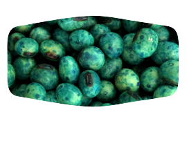 soybeans-home-2